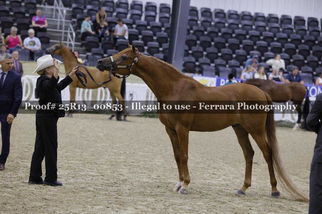 Proof 25R13_00853