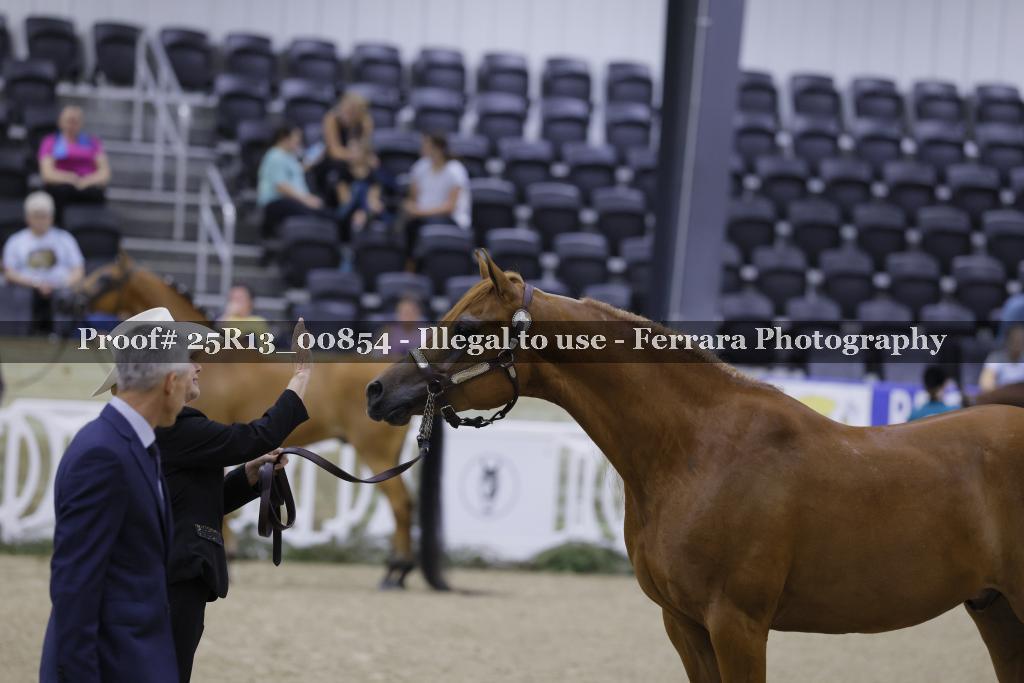 Proof 25R13_00854