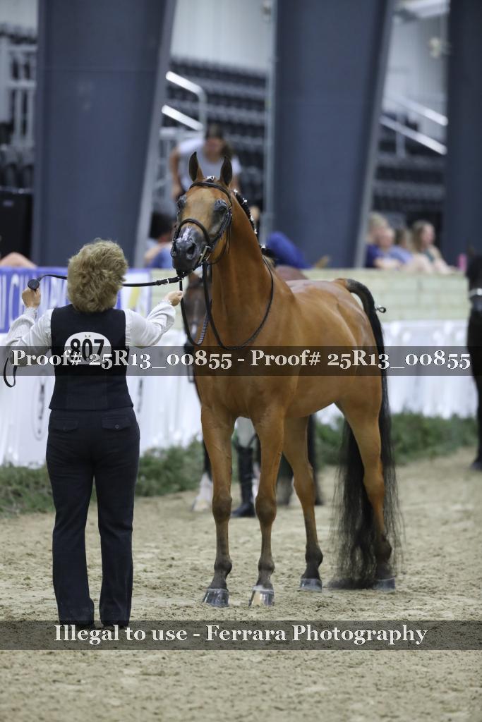 Proof 25R13_00855