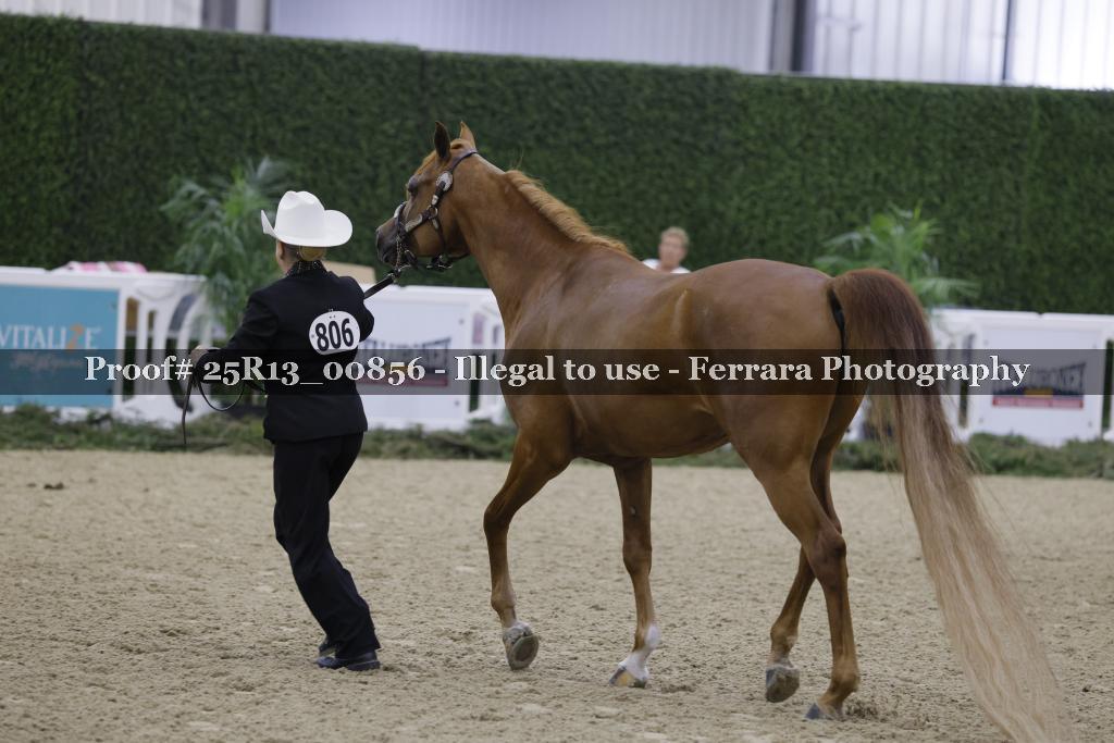 Proof 25R13_00856