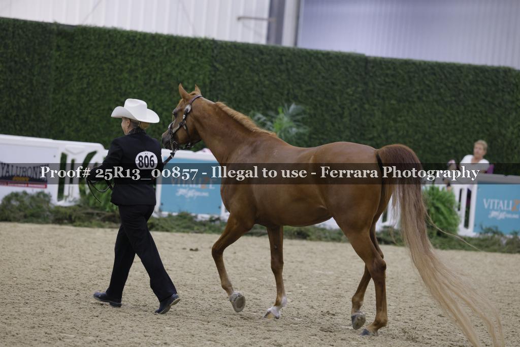 Proof 25R13_00857