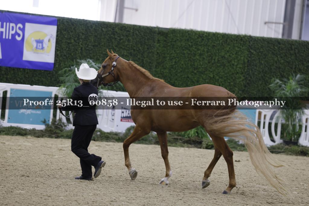 Proof 25R13_00858