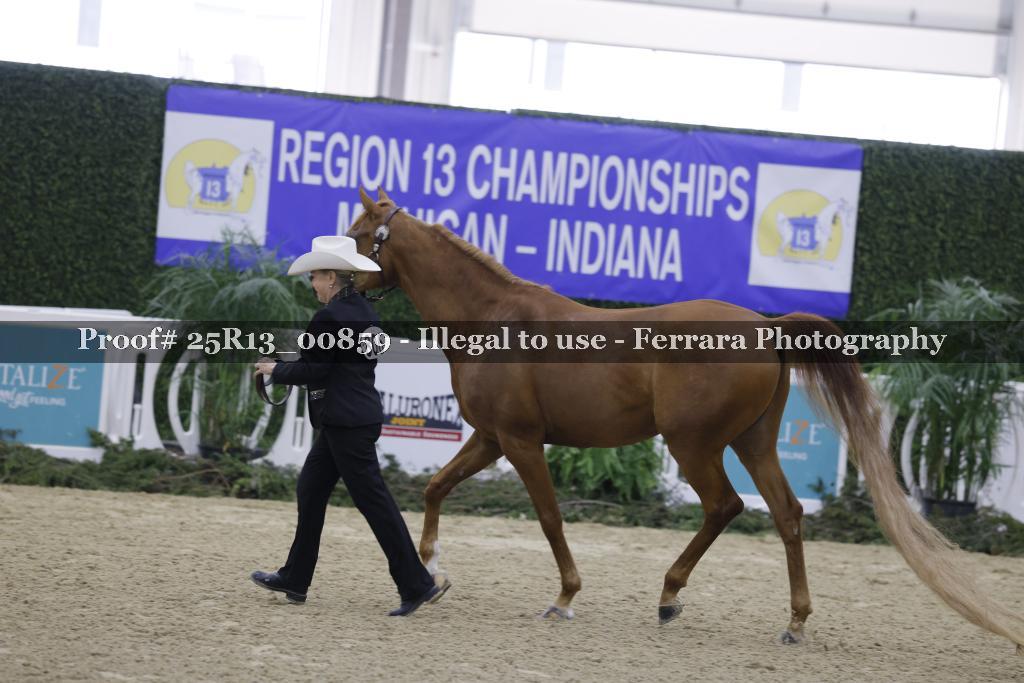 Proof 25R13_00859
