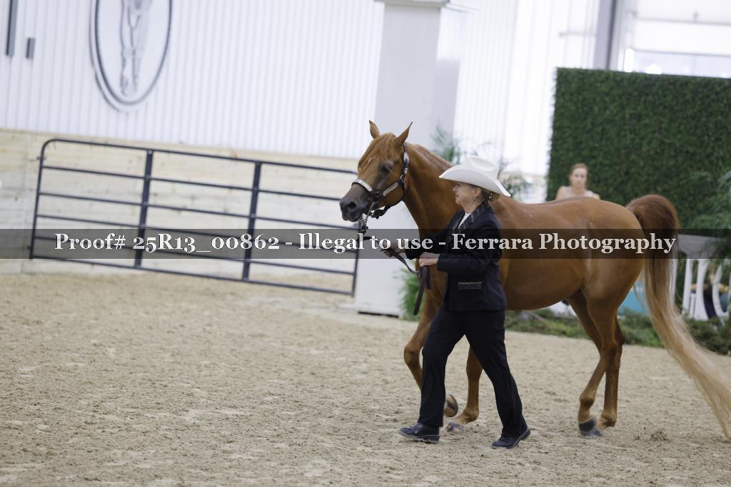 Proof 25R13_00862