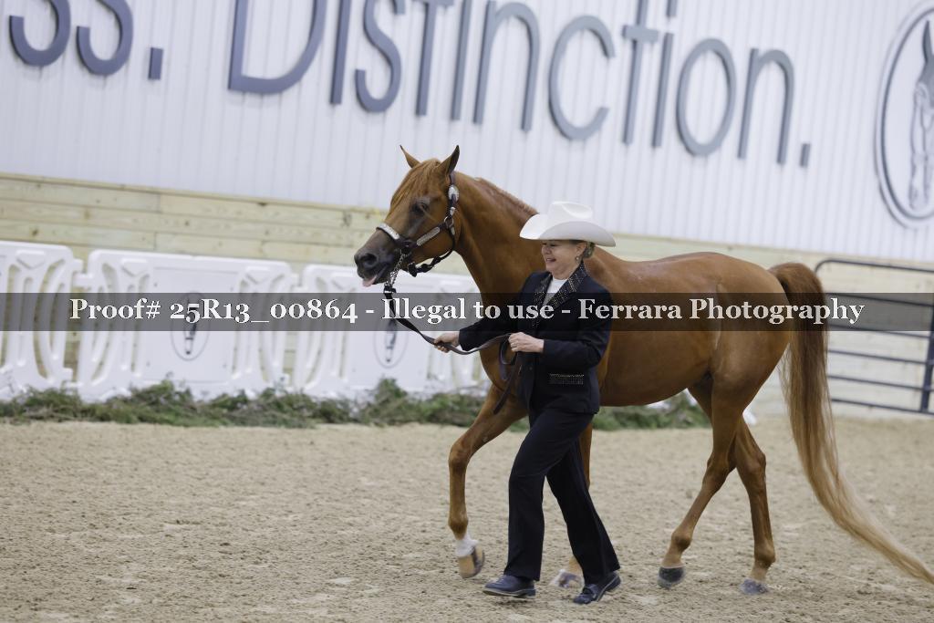 Proof 25R13_00864