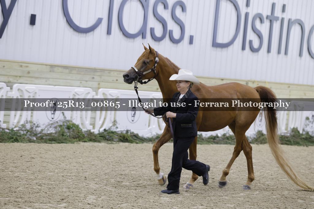Proof 25R13_00865