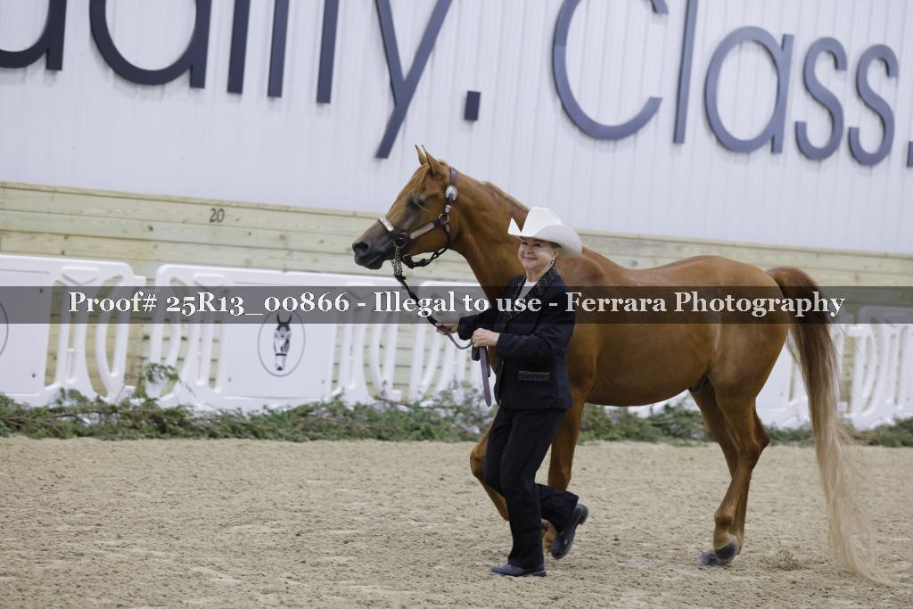 Proof 25R13_00866