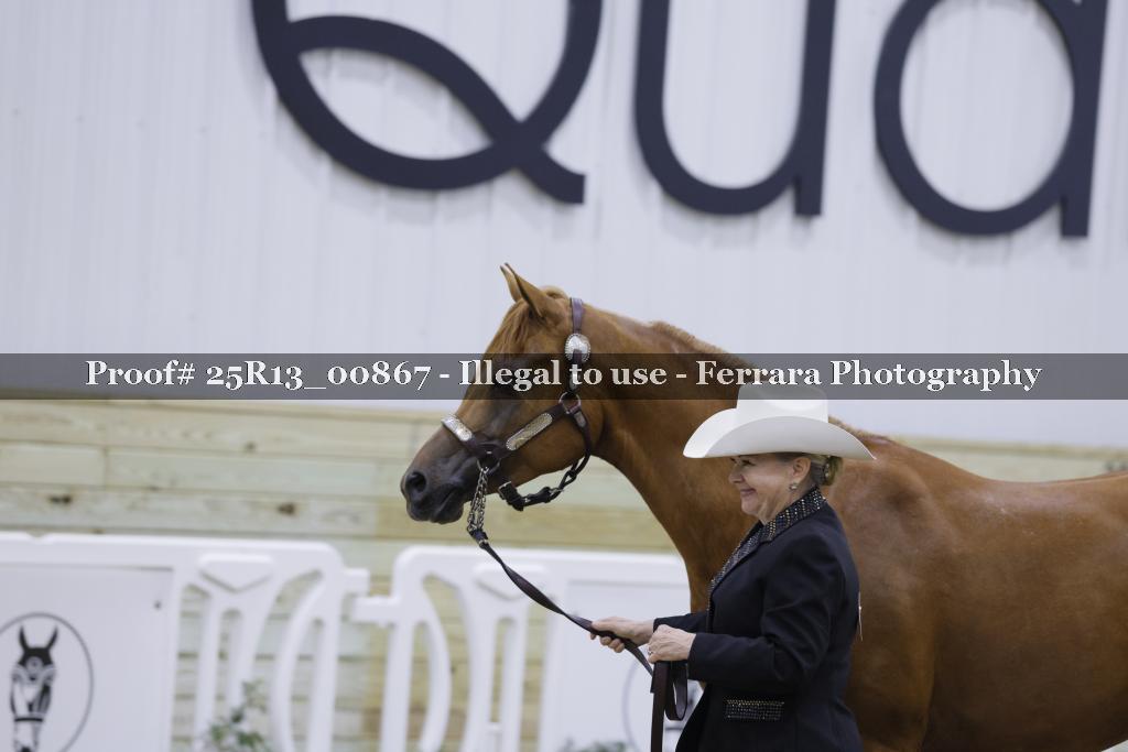 Proof 25R13_00867