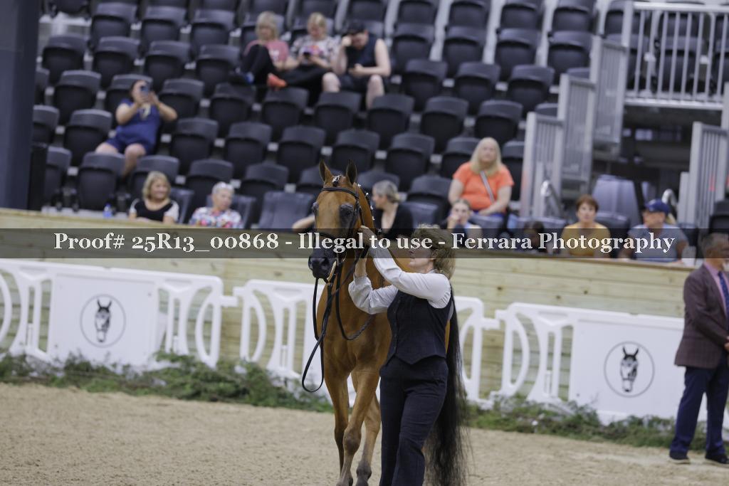 Proof 25R13_00868