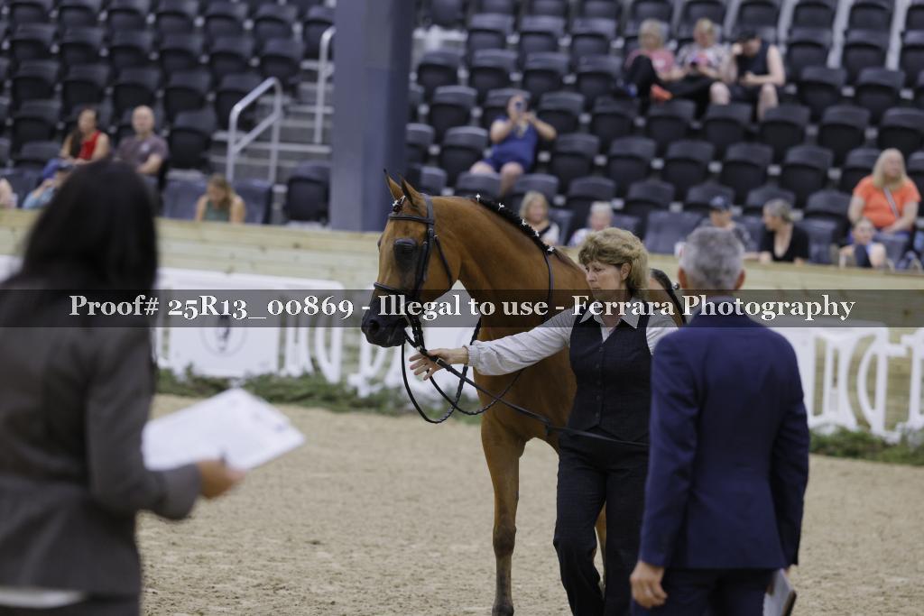Proof 25R13_00869
