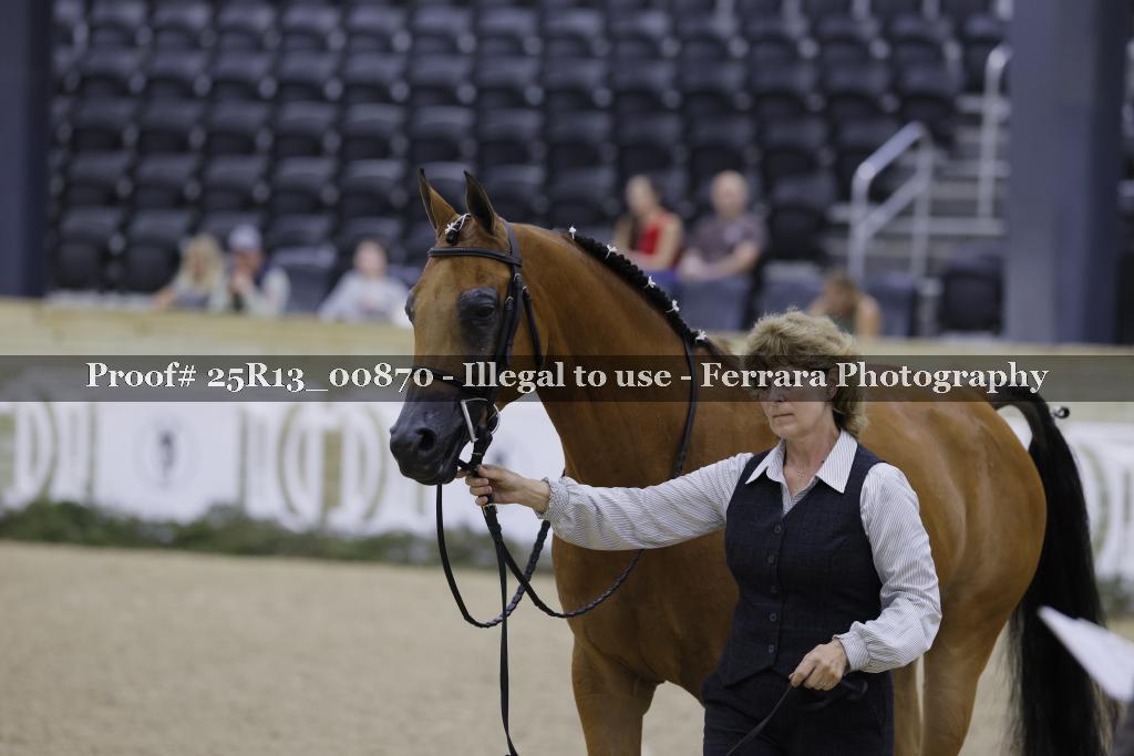 Proof 25R13_00870