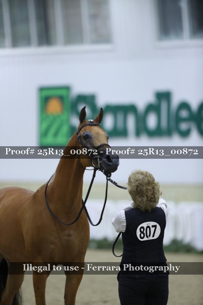 Proof 25R13_00872