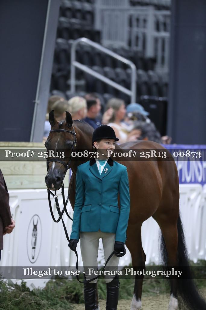 Proof 25R13_00873