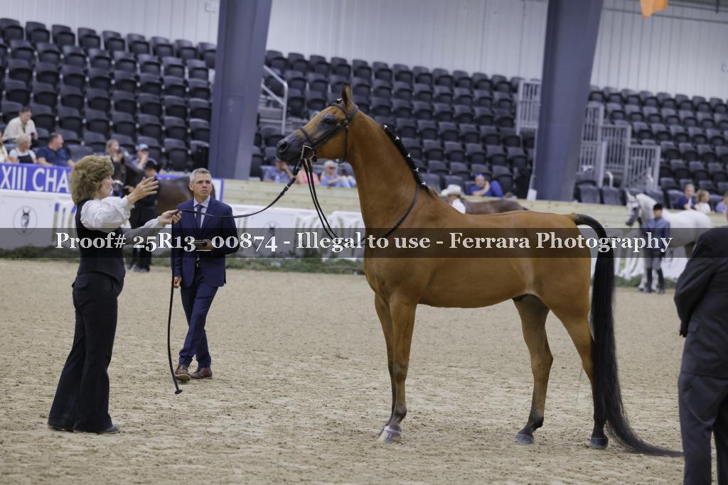 Proof 25R13_00874