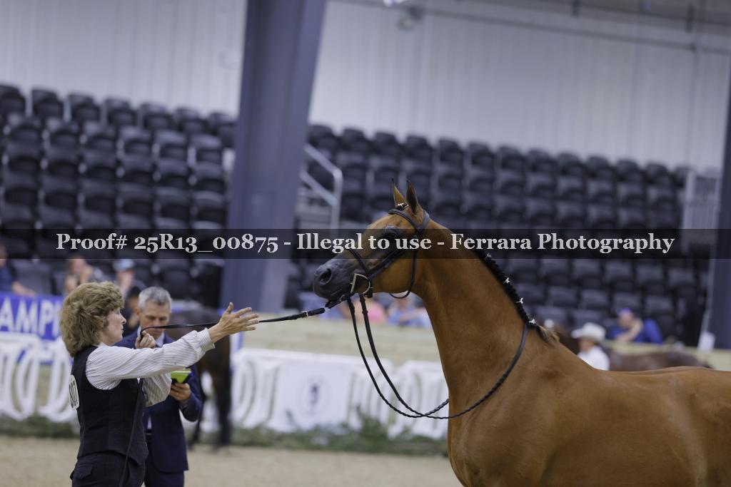 Proof 25R13_00875
