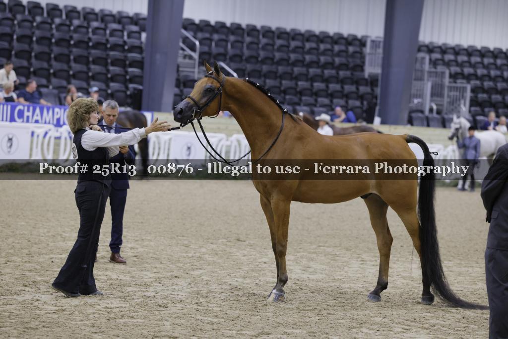 Proof 25R13_00876