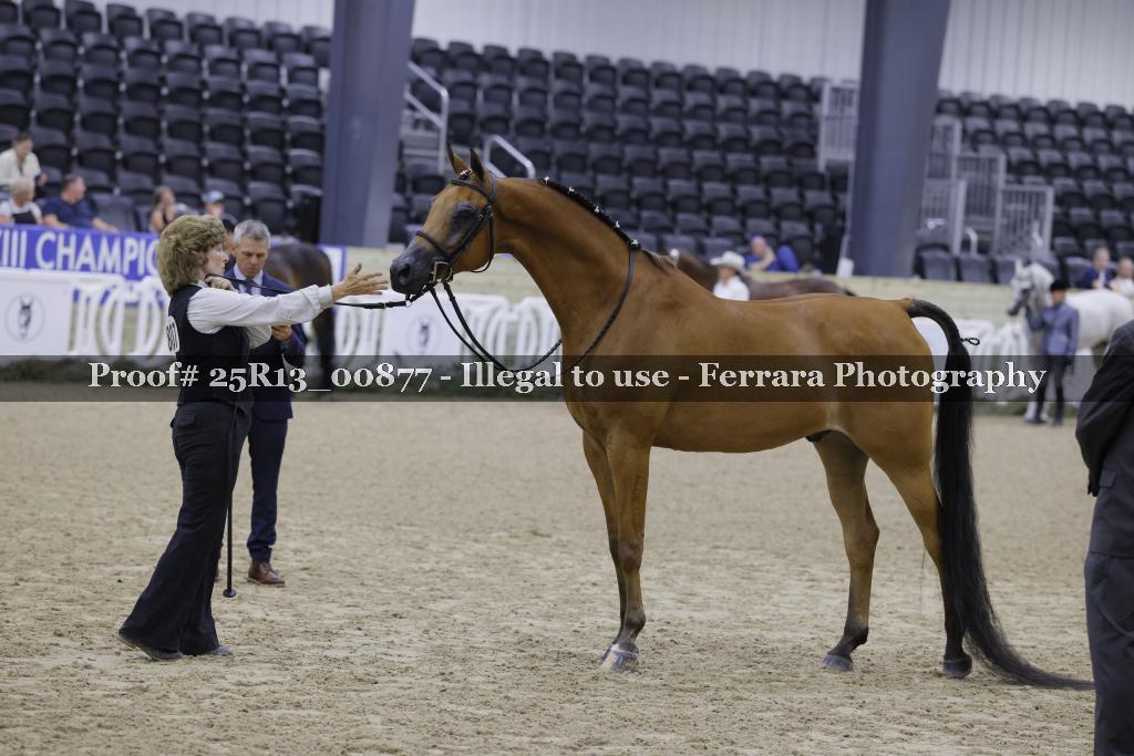 Proof 25R13_00877