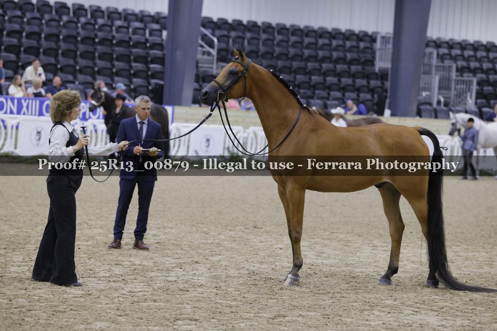 Proof 25R13_00879