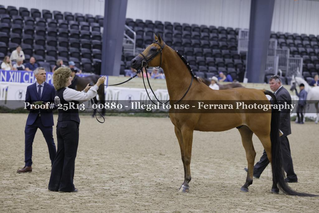 Proof 25R13_00880