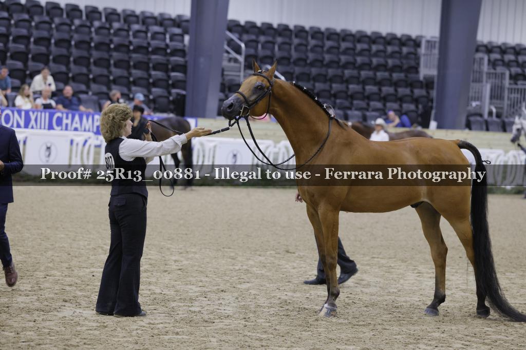 Proof 25R13_00881