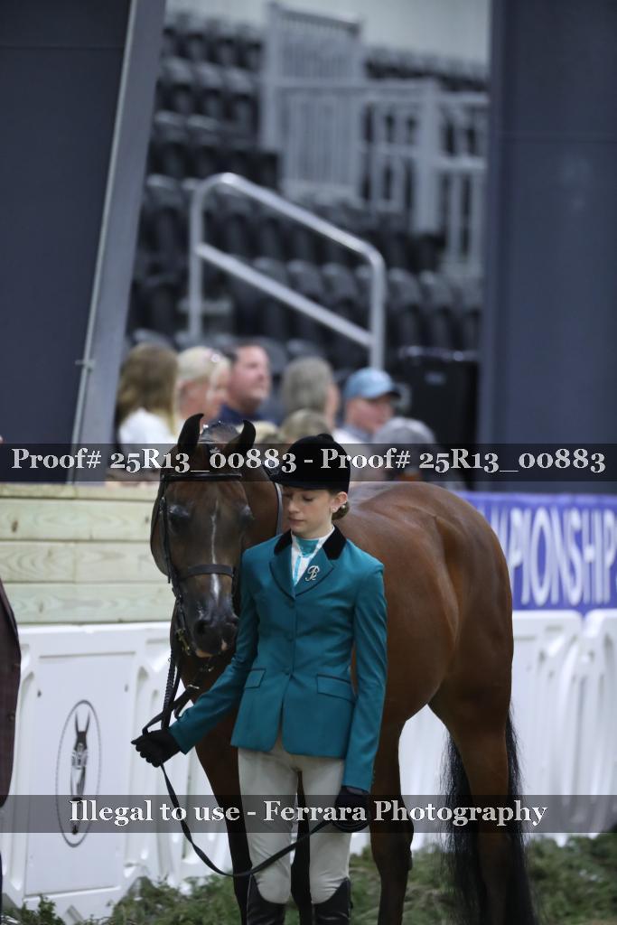 Proof 25R13_00883