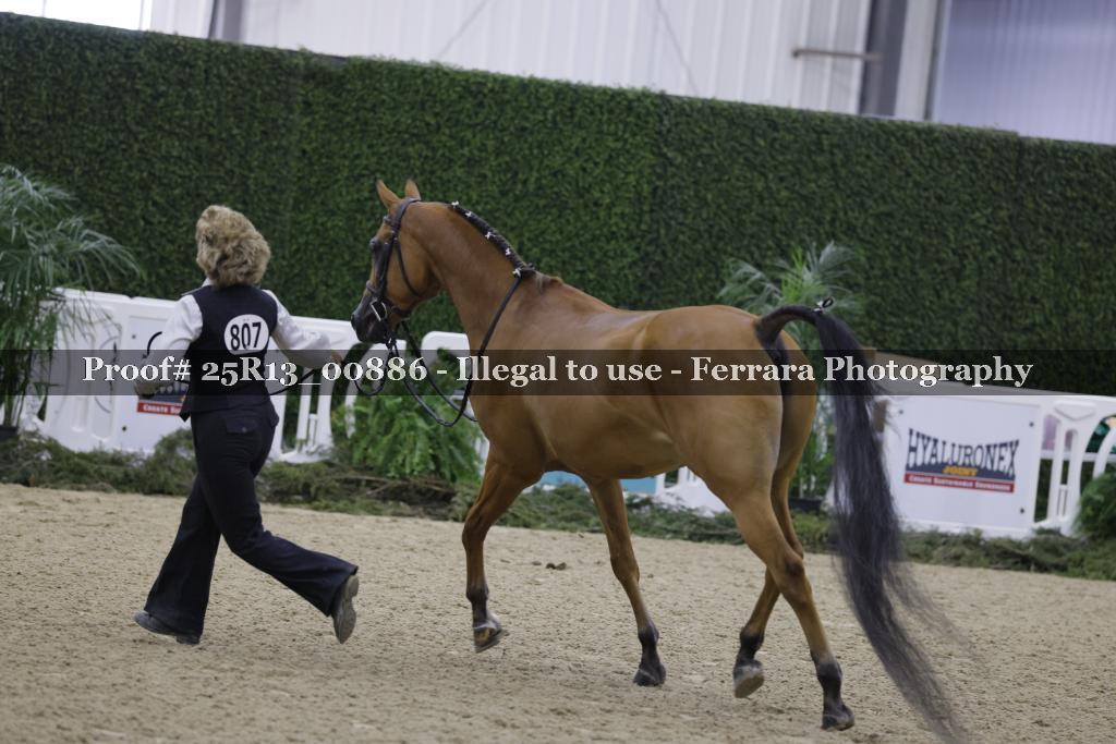 Proof 25R13_00886