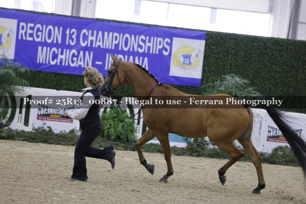 Proof 25R13_00887