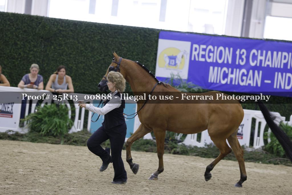 Proof 25R13_00888