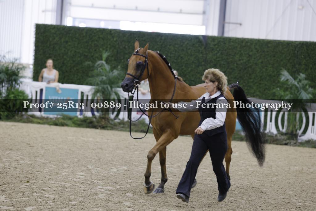 Proof 25R13_00889