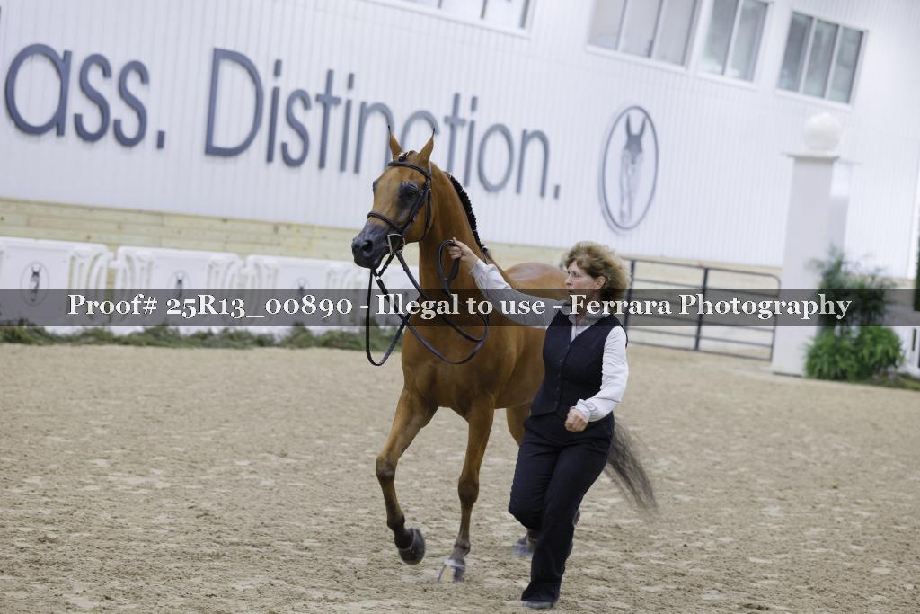 Proof 25R13_00890