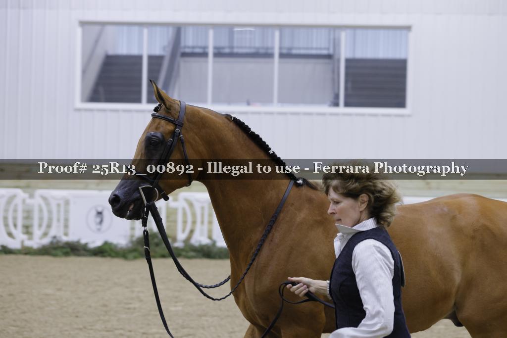 Proof 25R13_00892