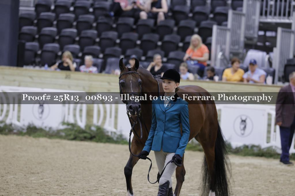 Proof 25R13_00893