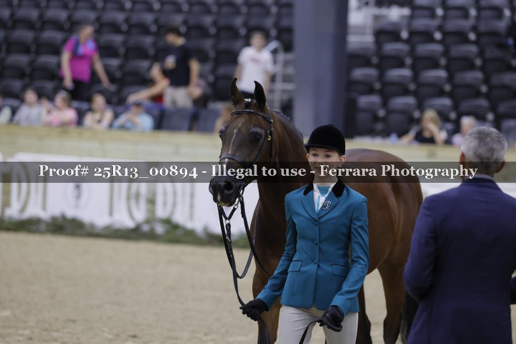 Proof 25R13_00894