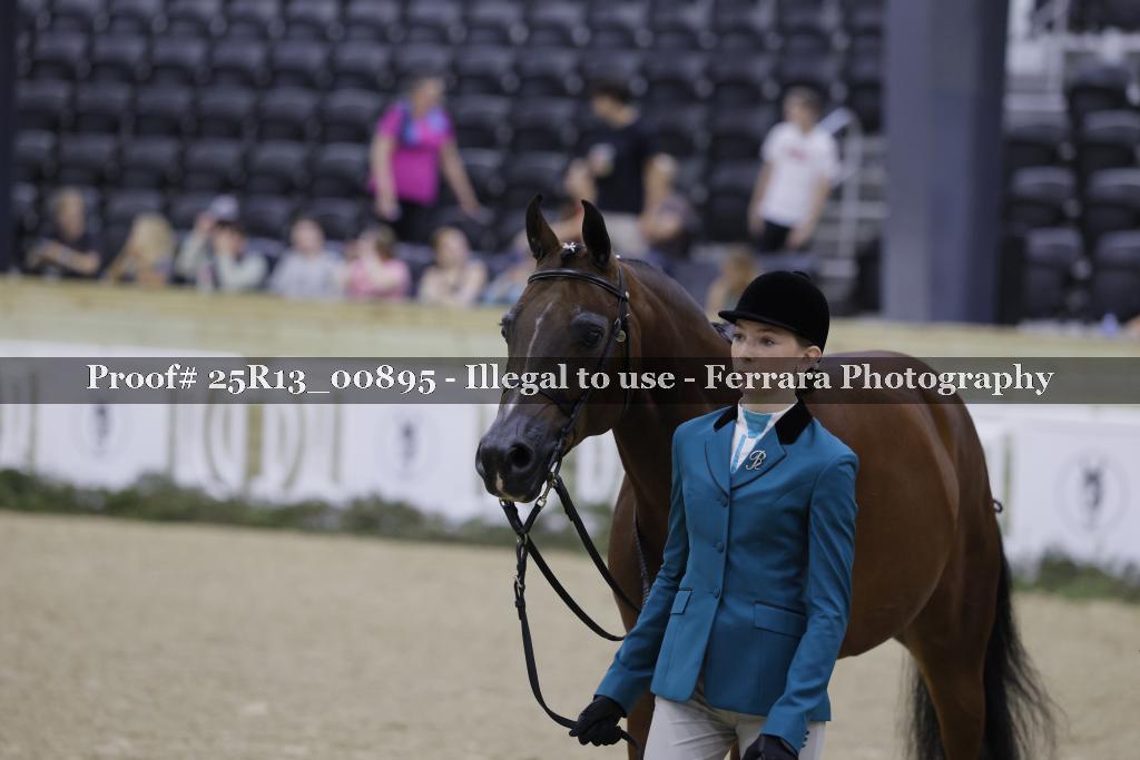 Proof 25R13_00895