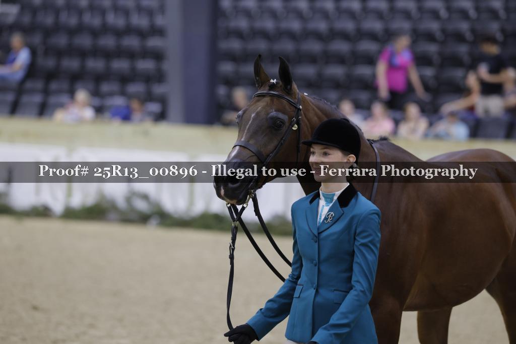 Proof 25R13_00896
