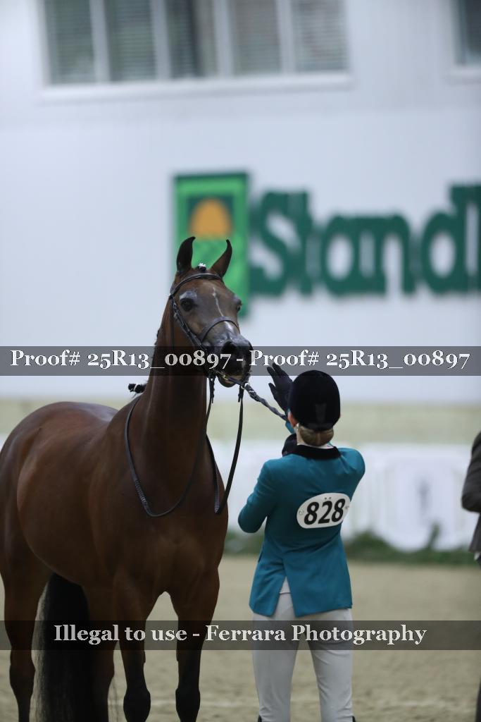 Proof 25R13_00897