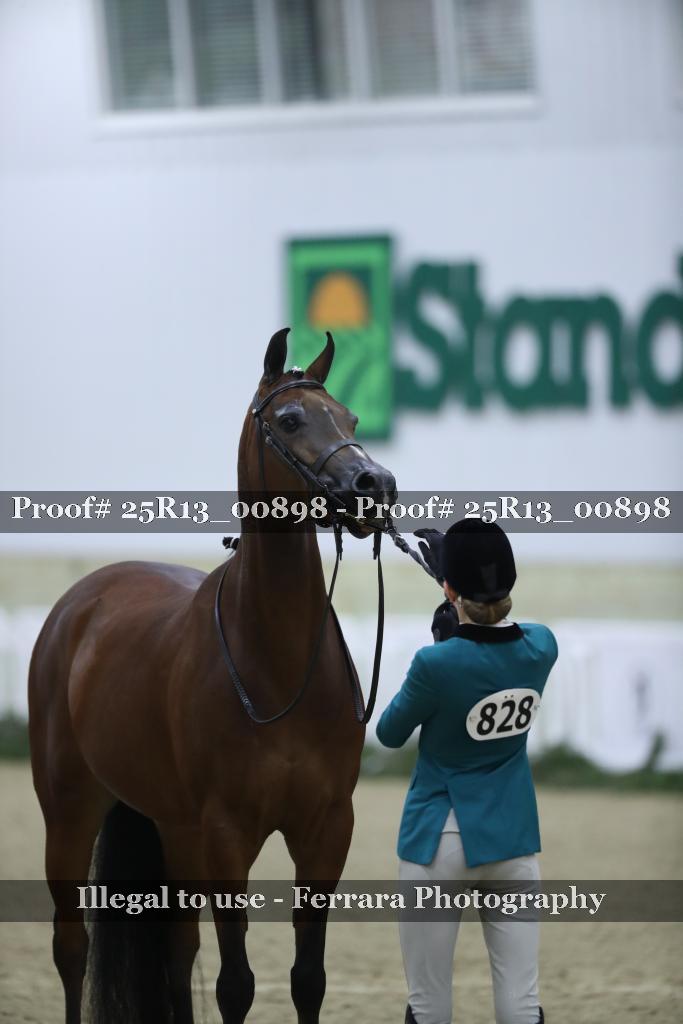 Proof 25R13_00898