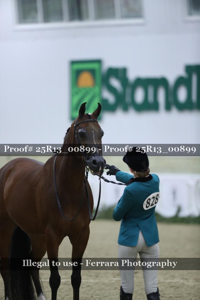 Proof 25R13_00899