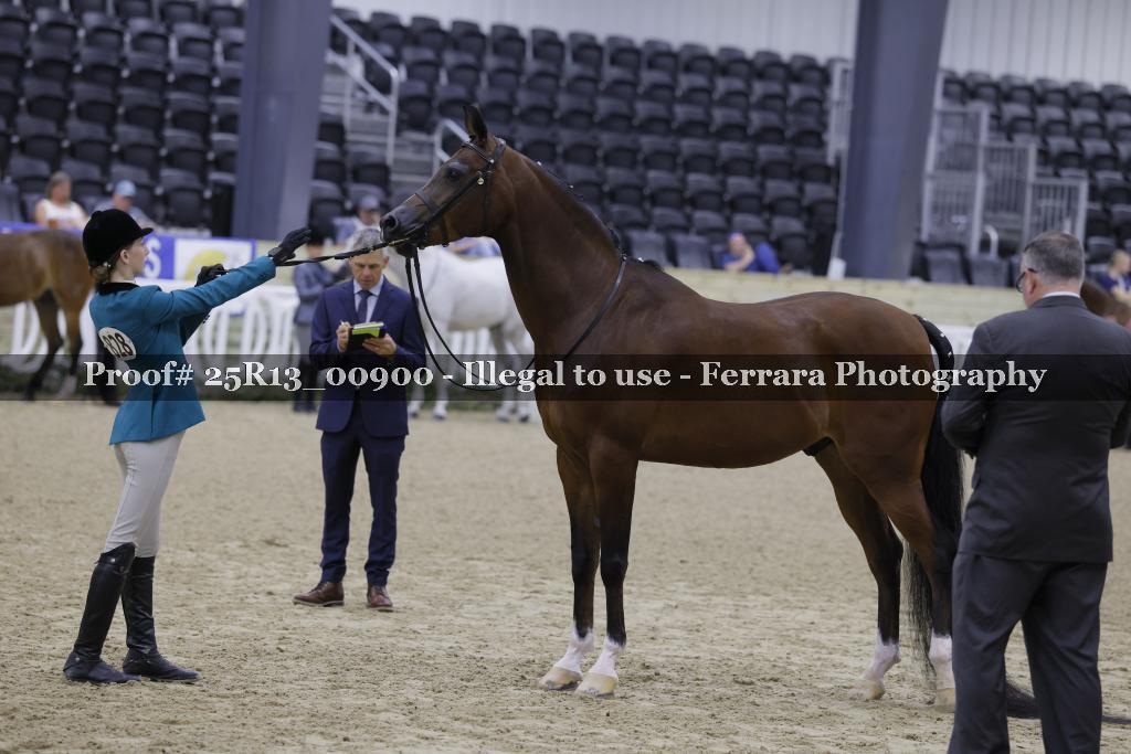 Proof 25R13_00900