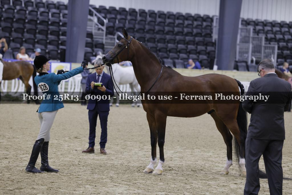 Proof 25R13_00901