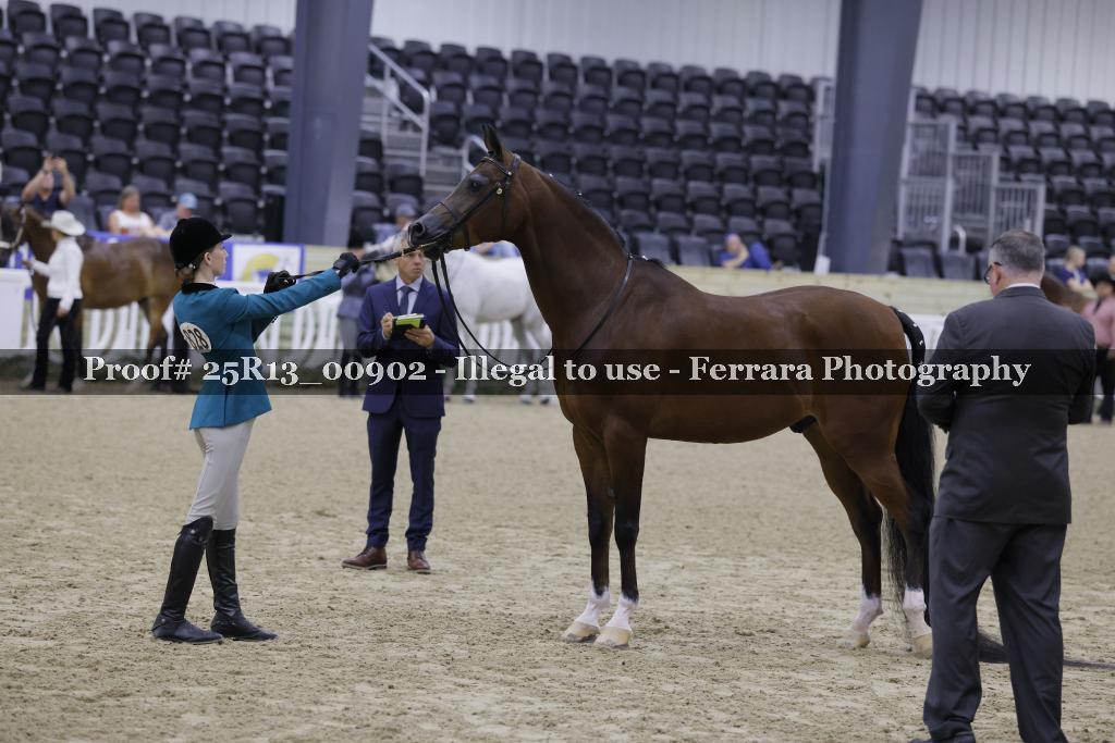 Proof 25R13_00902