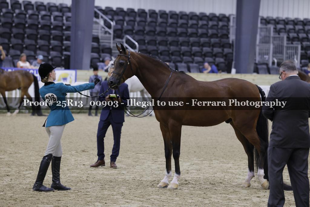 Proof 25R13_00903