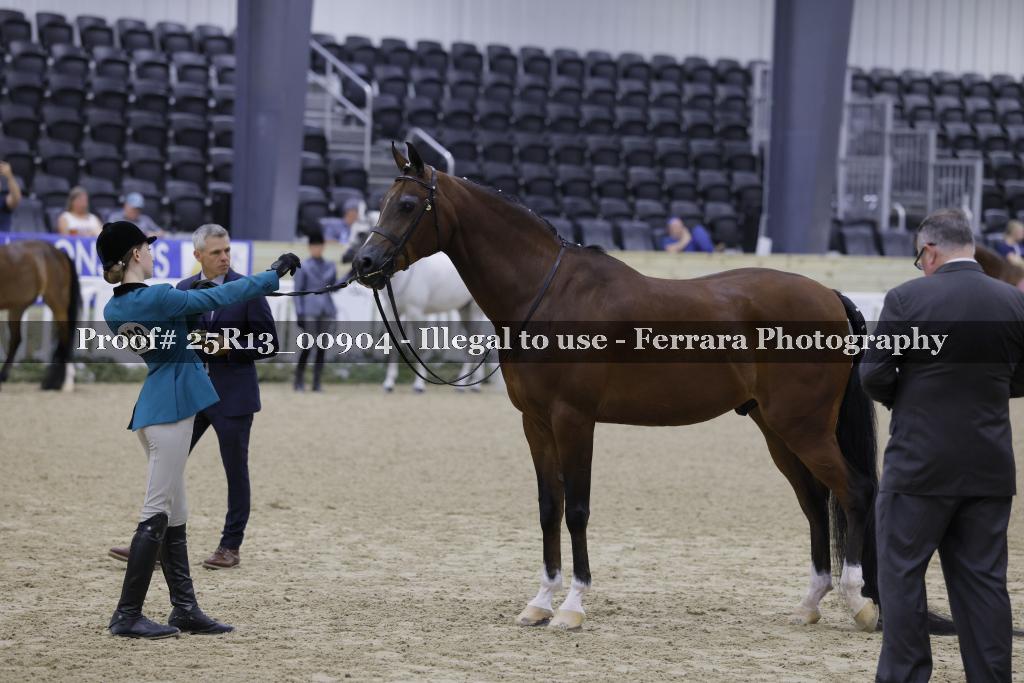 Proof 25R13_00904