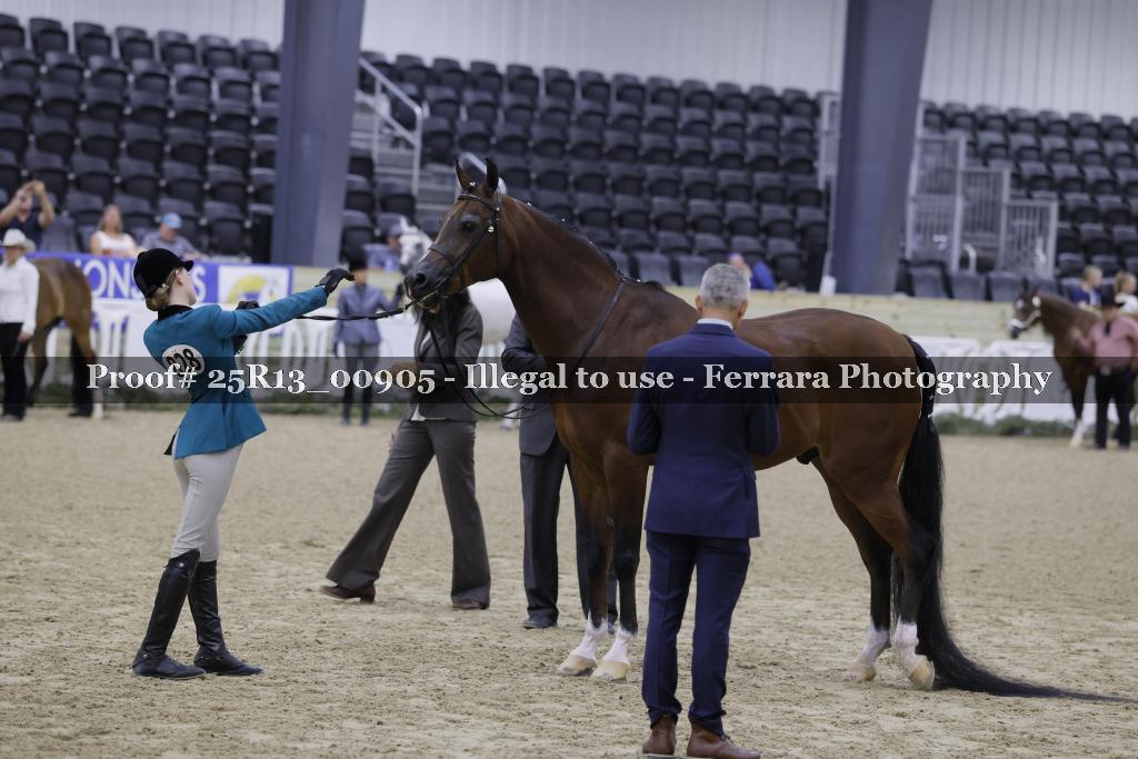 Proof 25R13_00905