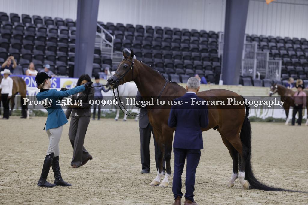 Proof 25R13_00906