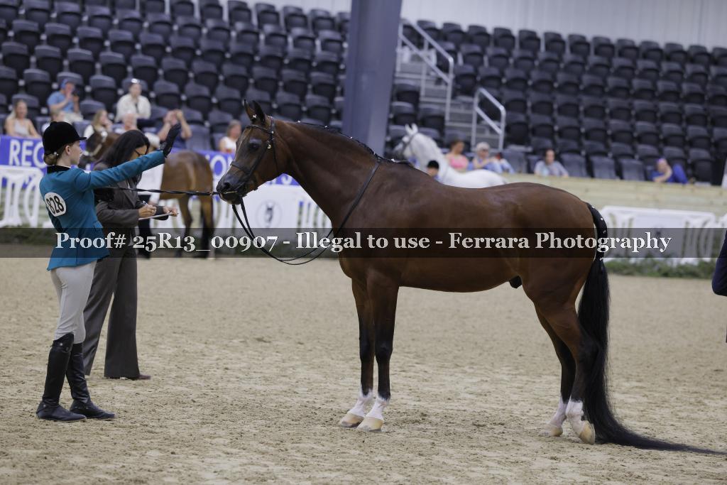 Proof 25R13_00907