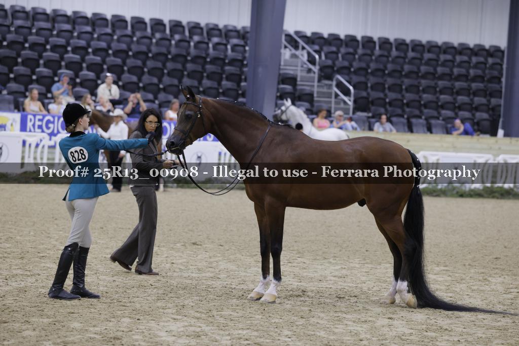 Proof 25R13_00908