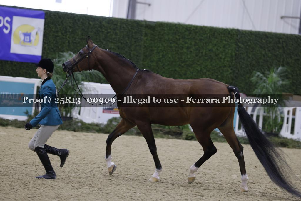 Proof 25R13_00909
