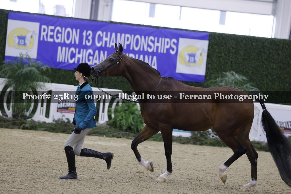 Proof 25R13_00910