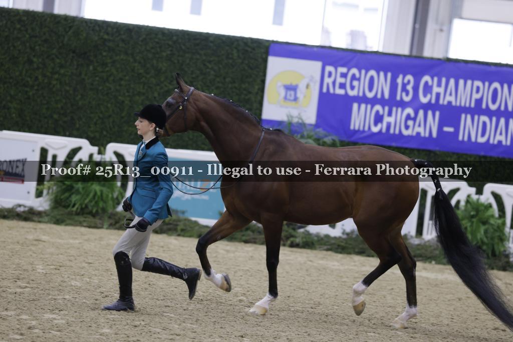 Proof 25R13_00911